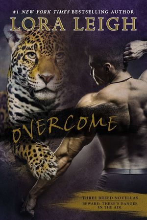Overcome image number 0