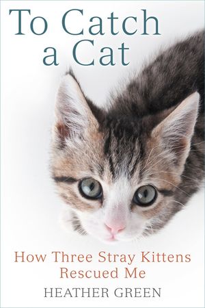 To Catch a Cat: How Three Stray Kittens Rescued Me image number 0