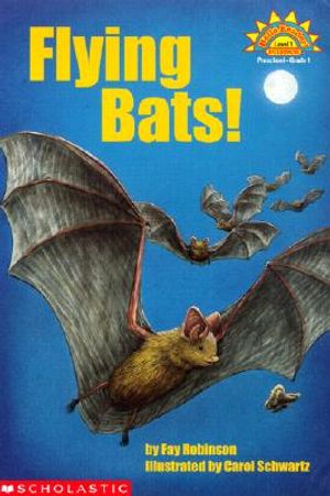 Flying Bats (Level 1) image number 0