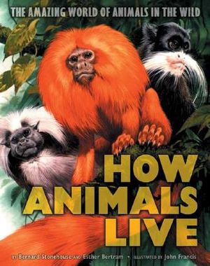 How Animals Live: Amazing World of Animals in the Wild image number 0