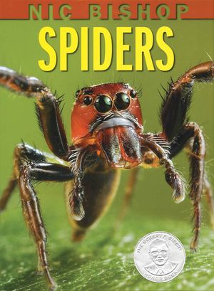 Nic Bishop: Spiders image number 0