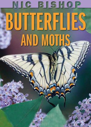Nic Bishop: Butterflies and Moths image number 0
