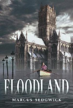 Floodland image number 0