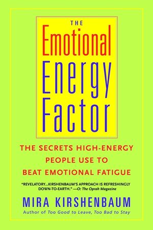 The Emotional Energy Factor: The Secrets High-Energy People Use to Beat Emotional Fatigue image number 0