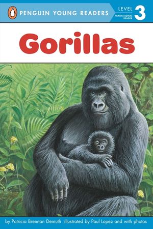 Gorillas image number 0