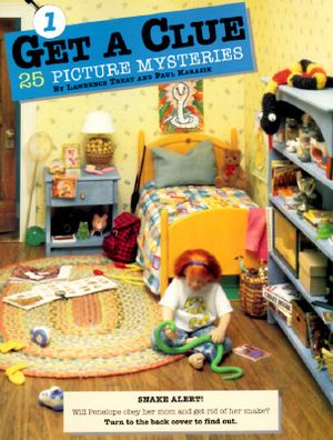 25 Picture Mysteries image number 0