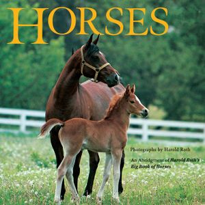 Horses: An Abridgement of Harold Roth's Big Book of Horses image number 0
