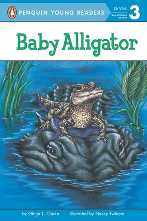Baby Alligator image number 0