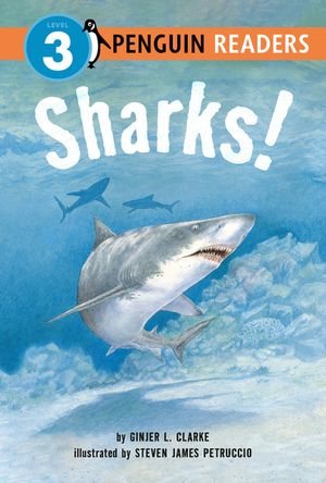 Sharks! image number 0