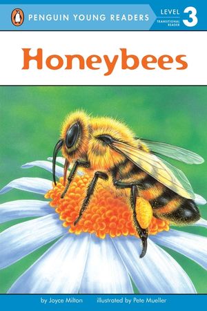 Honeybees image number 0