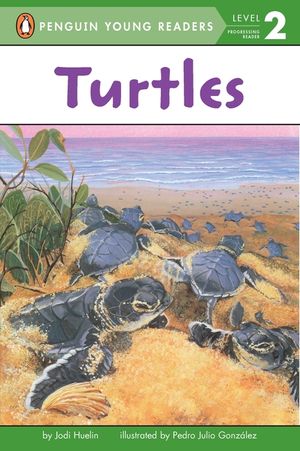 Turtles image number 0