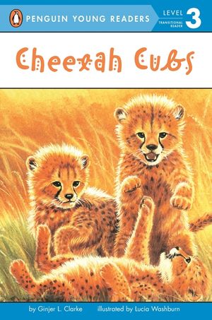 Cheetah Cubs image number 0