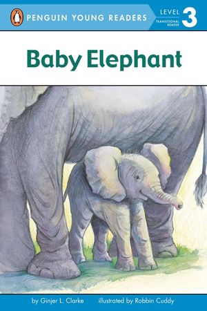 Baby Elephant image number 0