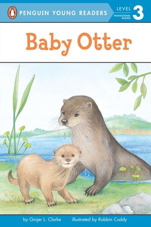 Baby Otter image number 0