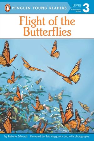 Flight of the Butterflies image number 0