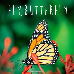 Fly, Butterfly image number 0