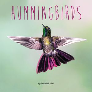 Hummingbirds image number 0