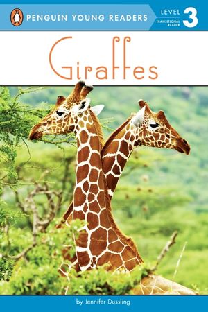 Giraffes image number 0