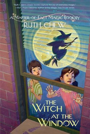 A Matter-Of-Fact Magic Book: The Witch at the Window image number 0