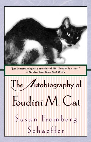 The Autobiography of Foudini M. Cat image number 0