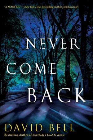 Never Come Back image number 0