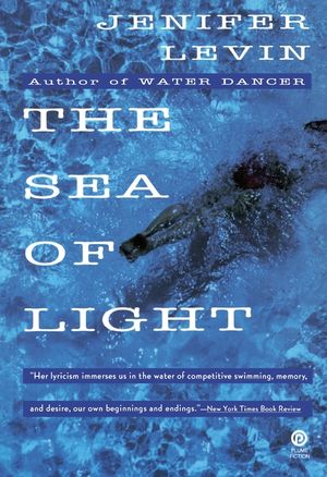 The Sea of Light image number 0