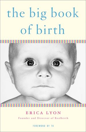 The Big Book of Birth image number 0