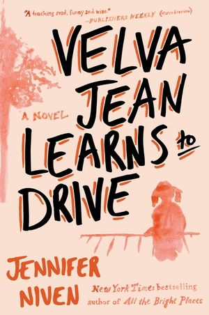 Velva Jean Learns to Drive: Book 1 in the Velva Jean Series image number 0