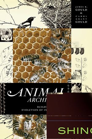 Animal Architects: Building and the Evolution of Intelligence image number 0