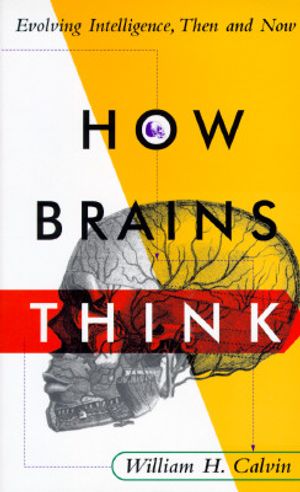 How Brains Think: Evolving Intelligences, Then and Now image number 0