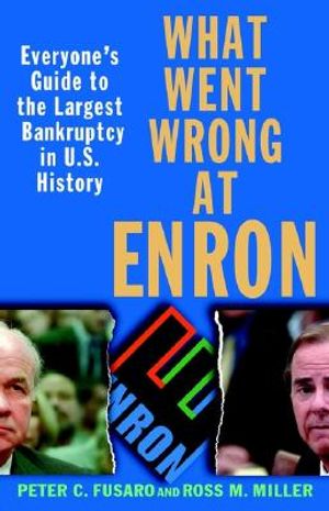 What Went Wrong at Enron: Everyone's Guide to the Largest Bankruptcy in U.S. History image number 0