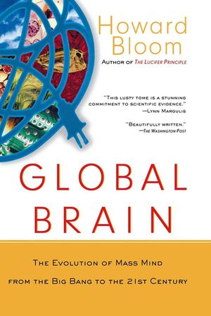 Global Brain: The Evolution of the Mass Mind from the Big Bang to the 21st Century image number 0