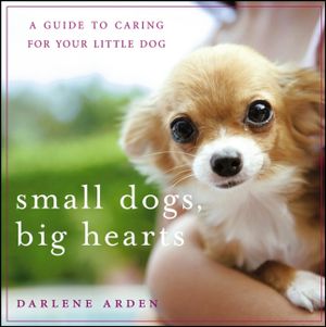 Small Dogs, Big Hearts: A Guide to Caring for Your Little Dog image number 0