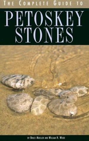 The Complete Guide to Petoskey Stones image number 0