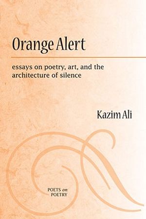 Orange Alert: Essays on Poetry, Art, and the Architecture of Silence image number 0