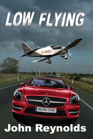 Low Flying image number 0