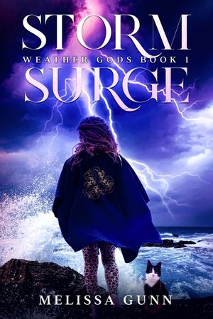 Storm Surge image number 0