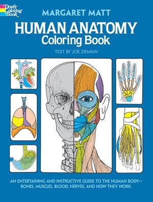 Human Anatomy Coloring Book image number 0