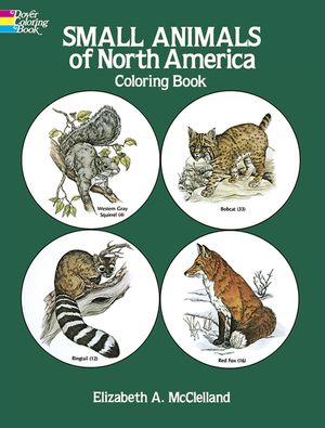 Small Animals of North America Coloring Book image number 0
