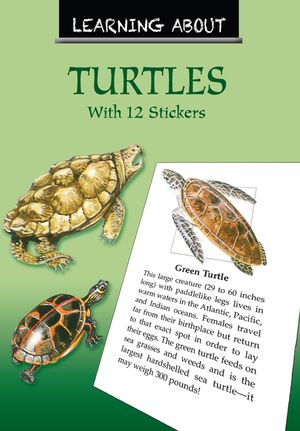 Learning about Turtles image number 0