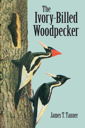 The Ivory-Billed Woodpecker image number 0