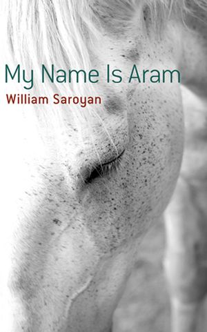 My Name Is Aram image number 0