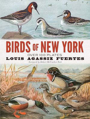 Birds of New York: Over 100 Plates image number 0