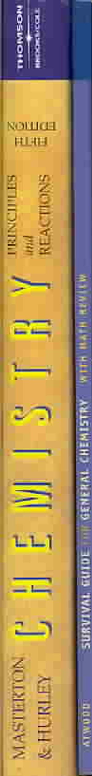 Chemistry: Principles and Reactions [With CDROM] image number 0