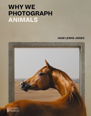Why We Photograph Animals image number 0