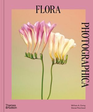 Flora Photographica: Masterworks of Contemporary Flower Photography image number 0