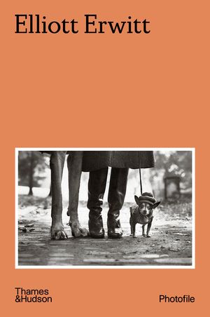 Elliott Erwitt image number 0