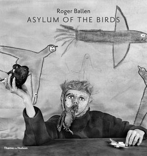 Asylum of the Birds image number 0