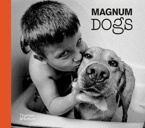 Magnum Dogs image number 0