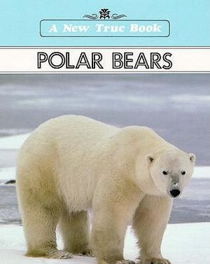 Polar Bears image number 0